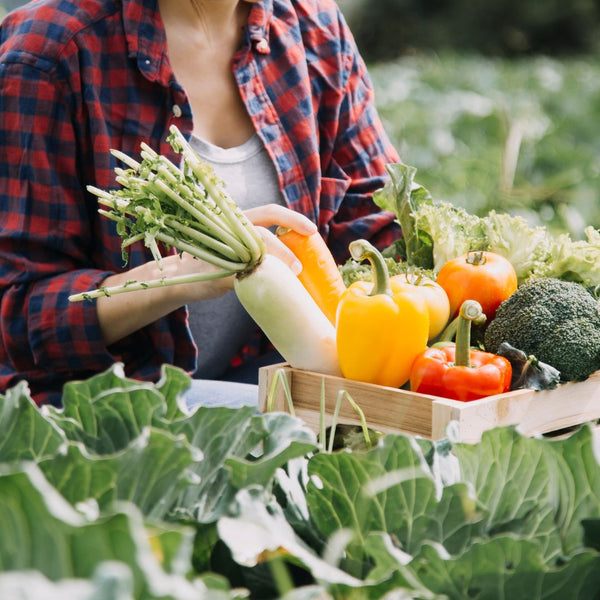 How AgriPlate Brings Edgewater & Daytona Beach the Best Organic Meal Prep Service