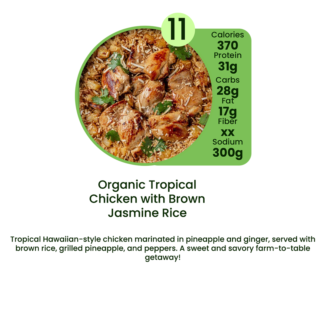 Organic Meal Prep Delivery in Edgewater, Daytona Beach & Orlando | 10 MIX & MATCH PLAN
