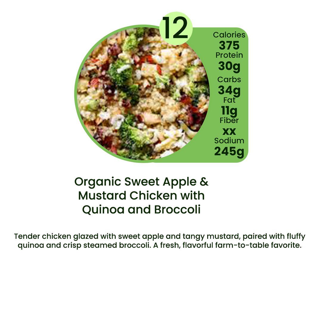Organic Meal Prep Delivery in Edgewater, Daytona Beach & Orlando | 15 MIX & MATCH PLAN