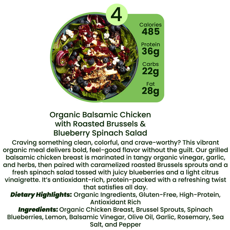 Organic Meal Prep Delivery in Edgewater, Daytona Beach & Orlando | 5 MIX & MATCH PLAN
