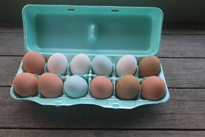 Pasture-Raised Eggs (Dozen)