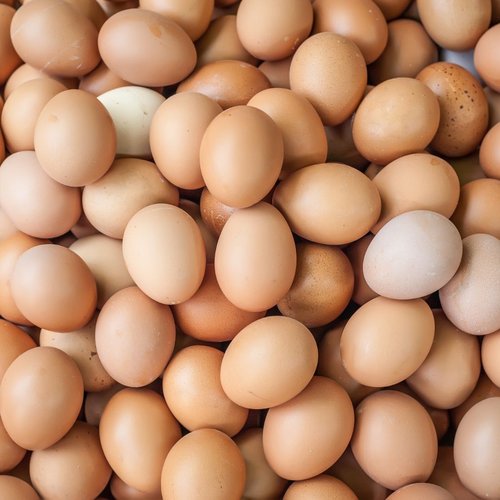 Pasture-Raised Eggs (Dozen)